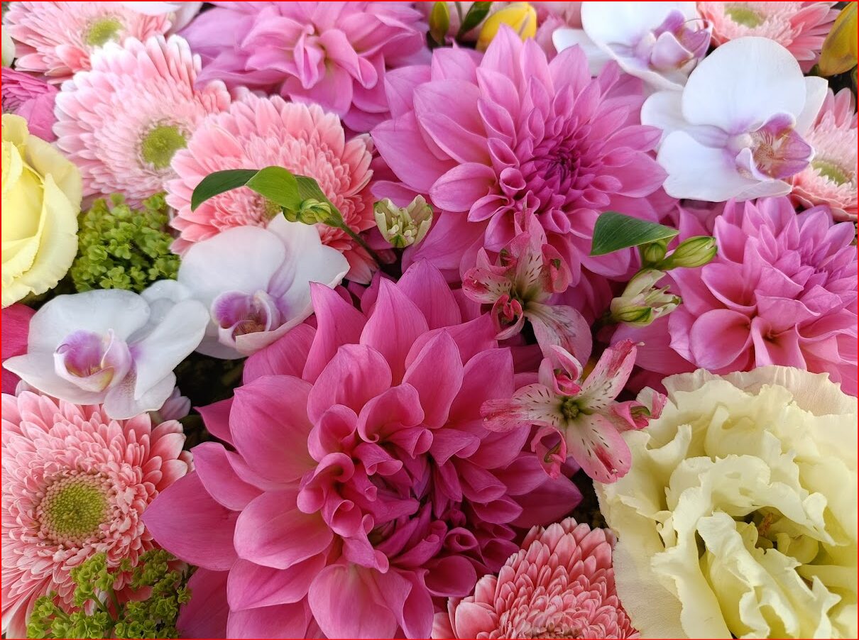 深川花手水2025開催！混雑具合は？花手水の魅力をご紹介‼｜ぷちぷらの