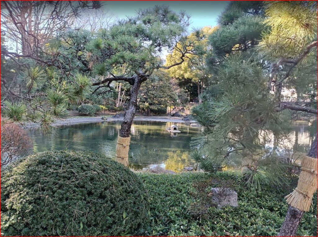 エコルとごし画像