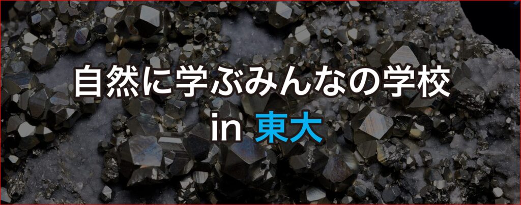 東大画像