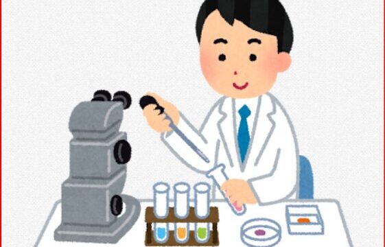 自由研究画像