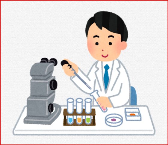 自由研究画像