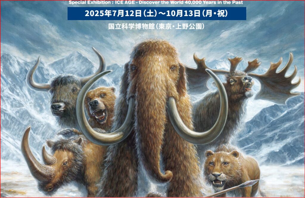 国立科学博物館画像