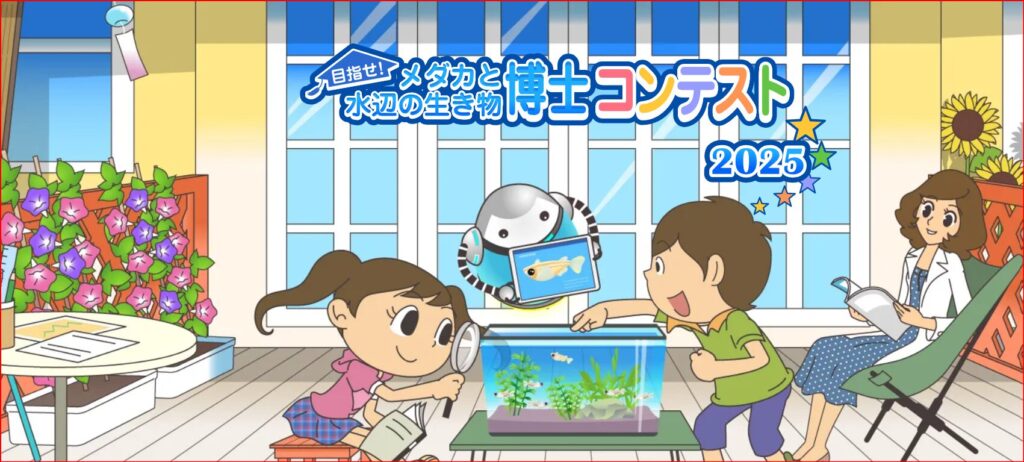 キョーリン画像