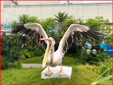 サンシャイン水族館画像