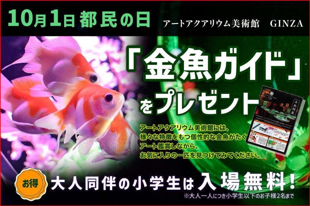 アートアクアリウム画像