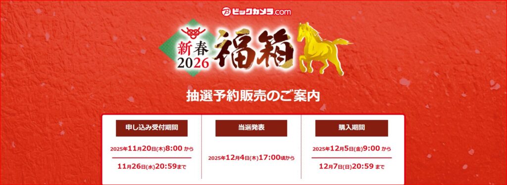 ビックカメラ画像